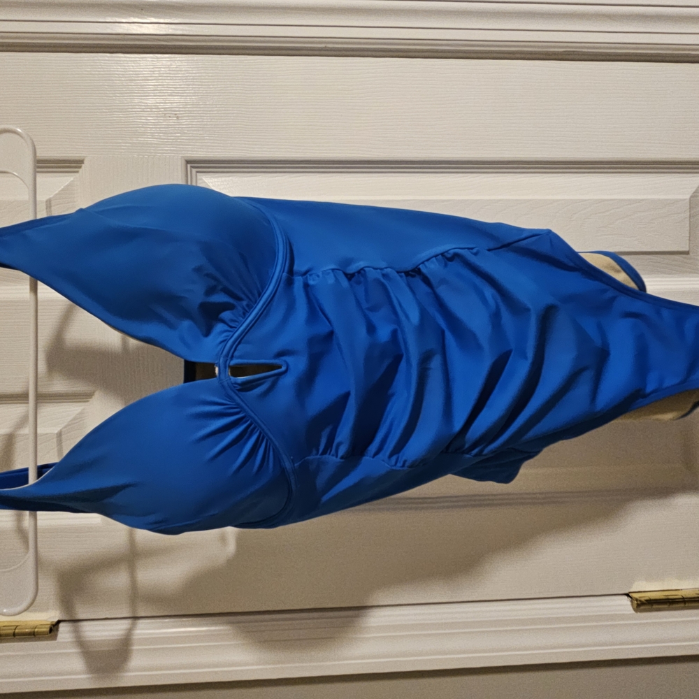 Cupshe Royal Blue One Piece with Plunging Neckline